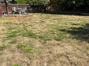 Leaf Removal by Tim Root for Marian E. in Boise, ID