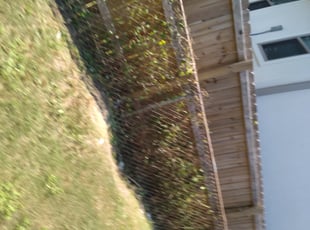 Bush Trimming by Raquel Dufrene for Keisha B. in New Orleans, LA