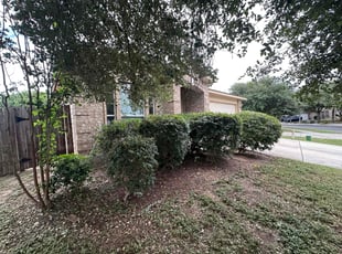 latasha n.'s Bush Trimming service result