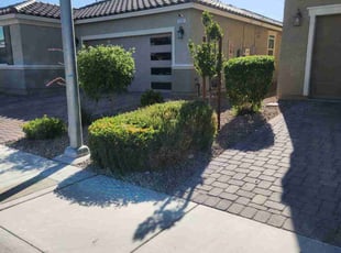 Bush Trimming by Lamont Johnson for Jenna S. in North Las Vegas, NV