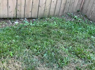 Brad G.'s Cleanups service result