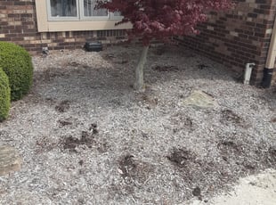 Weeding by Yoshiro White for Rachael C. in Noblesville, IN