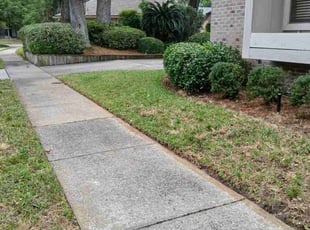 Leaf Removal by Jason Fisher for Michael H. in Jacksonville, FL