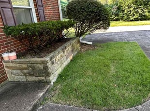 Bush Trimming by Fidel Rodriguez for Dinelle C. in Alexandria, VA