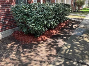 Mulching by Semaj Ward for Belicia N. in Katy, TX