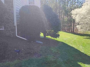 Bush Trimming by Brett Cameron for greg b. in Midlothian, VA