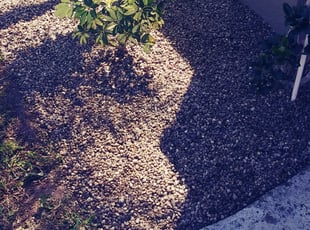 Landscaping by Robert Dixon for Shana S. in Kissimmee, FL