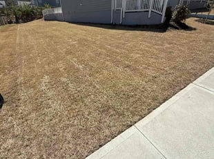 Cleanups by Becca Bulloch for Lokesh N. in Dawsonville, GA