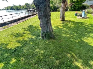 George H.'s Lawn Mowing service result