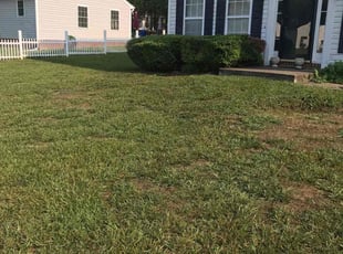 Bush Trimming by Davon Lightfoot for Ronald M. in Richmond, VA