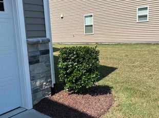 Bush Trimming by Brandon Chapman for Eric R. in Raleigh, NC