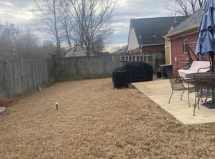 Leaf Removal by Marvin Wright for Cindy H. in Southaven, MS
