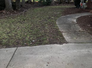 Leaf Removal by Wayne Banton for Dave B. in Charlotte, NC