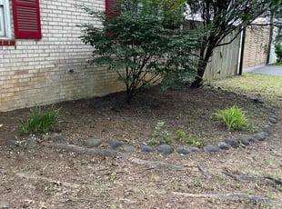 Leaf Removal by Hector Blanco for Valerie H. in Falls Church, VA