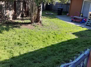 Cleanups by Brandon Murillo-Gonzalez for Erika C. in Folsom, CA