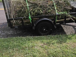 Cleanups by Mark Vogl for Laura B. in Springfield, MO
