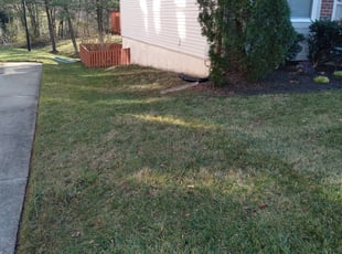 Leaf Removal by Michael Hughes for Natasha H. in Lanham, MD