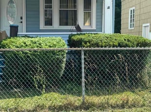 Hilary G.'s Bush Trimming service result