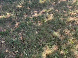 Cleanups by Chad Suenram for Lucas D. in Wichita, KS