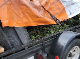 Cleanups by Georgiy Bulkhak for Linda F. in Indian Trail, NC