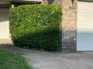 Bush Trimming by Jose Rodriguez for Devyn G. in Arlington, TX