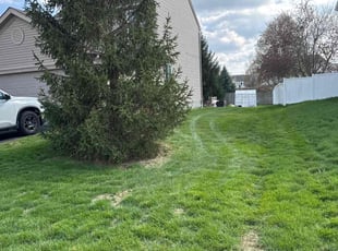 Michael N.'s Grass Cutting service result