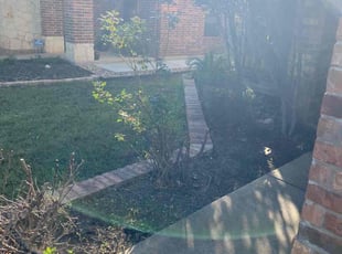 Bush Trimming by Joshua Benouis for Risa P. in Cedar Park, TX