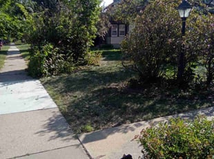 Bush Trimming by Joseph Zika for MICHAEL H. in Minneapolis, MN