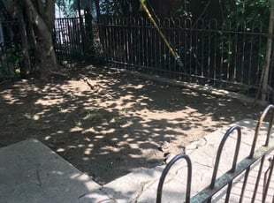 Cleanups by Patrick Carr for Janet R. in Philadelphia, PA