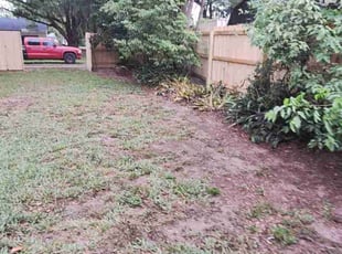 Leaf Removal by Coty Thomas for Christian M. in Zephyrhills, FL