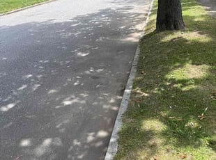 Tammy W.'s Cleanups service result