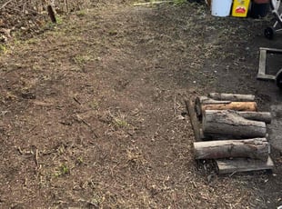 Cleanups by Egbert Bickley for Glen L. in East Amherst, NY