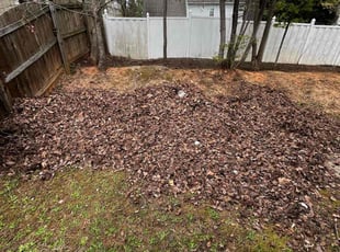 Leaf Removal by Dominque Medlin for Lenard H. in Raleigh, NC