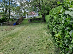 Landscaping by Daniel Chisholm for Abin T. in Dickson City, PA