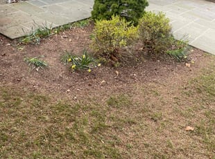 Leaf Removal by Aaron Ford for Joseph L. in Staten Island, NY