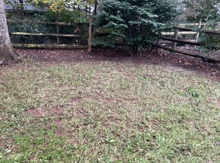 Cleanups by Donald Burrill for Matthew S. in Manassas, VA