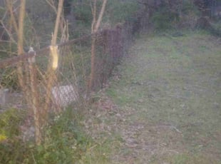 Cleanups by Donald Pilgrim for Michelle B. in Upper Darby, PA