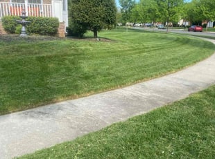 Christopher C.'s Lawn Mowing service result