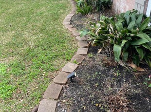 Leaf Removal by Emilius Henry for Samone B. in League City, TX
