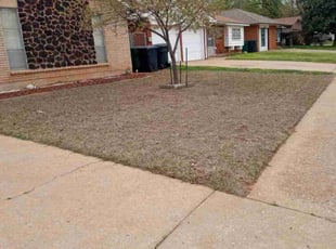 Leaf Removal by Tony Rodriguez for Angela A. in Oklahoma City, OK