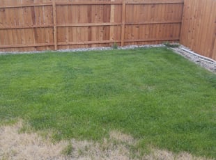 Weeding by Brandon Berry for Amad S. in Colorado Springs, CO
