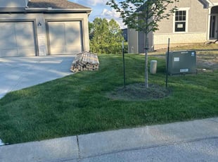 Jim S.'s Lawn Mowing service result
