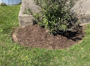 Weeding by Edwing Lozano for Carla J. in Silver Spring, MD