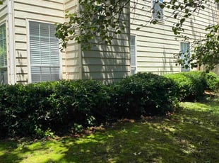 Bush Trimming by Michael Long for Laura P. in Suwanee, GA