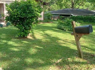 Thomas G.'s Lawn Service service result