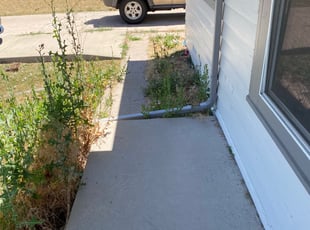 Landscaping by Martin Elias for Robert F. in Denver, CO