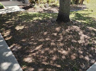 Leaf Removal by Orlando Powell for Mary M. in Lithia, FL