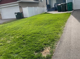 Leaf Removal by Jackie Lindfors for Abdul K. in Columbia Heights, MN