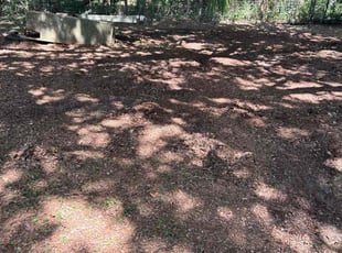 Leaf Removal by Quinton Davis for Caron M. in Lake Wales, FL