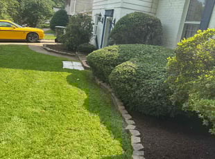 Ken P.'s Mulching service result